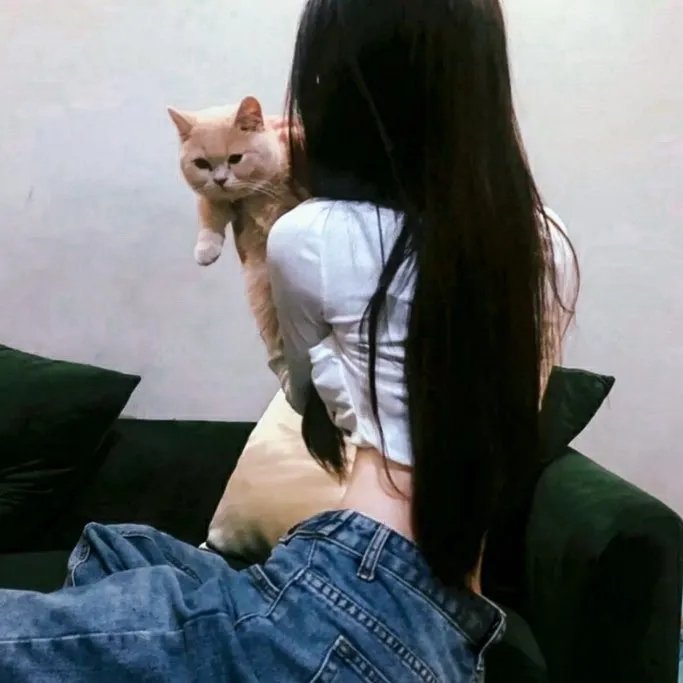 楷模