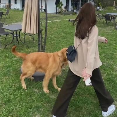 一个陌生女人的来信